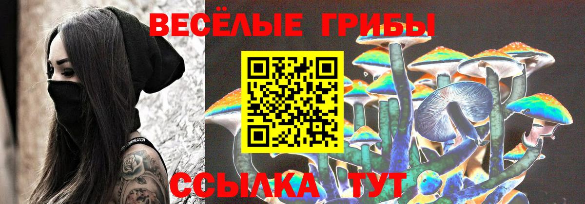Псилоцибиновые грибы Cubensis Екатеринбург